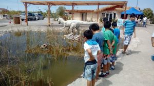 IQUIQUE PASEO 2017 (1)